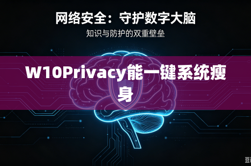 W10Privacy能一键系统瘦身
