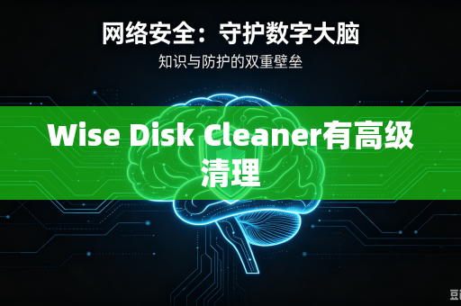 Wise Disk Cleaner有高级清理-第1张图片-电脑手机工具软件下载 - 免费实用工具合集 | 联启科技 Wise Disk Cleaner有高级清理-第1张图片-电脑手机工具软件下载 - 免费实用工具合集 | 联启科技