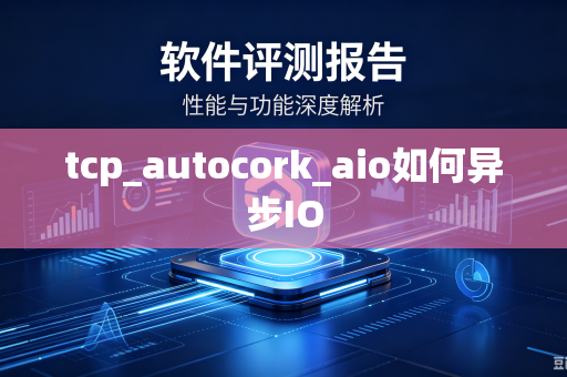 tcp_autocork_aio如何异步IO