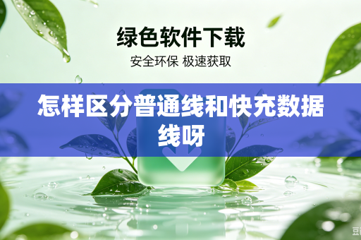 怎样区分普通线和快充数据线呀