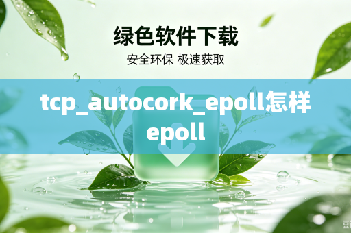 tcp_autocork_epoll怎样epoll