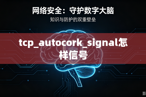 tcp_autocork_signal怎样信号-第1张图片-电脑手机工具软件下载 - 免费实用工具合集 | 联启科技