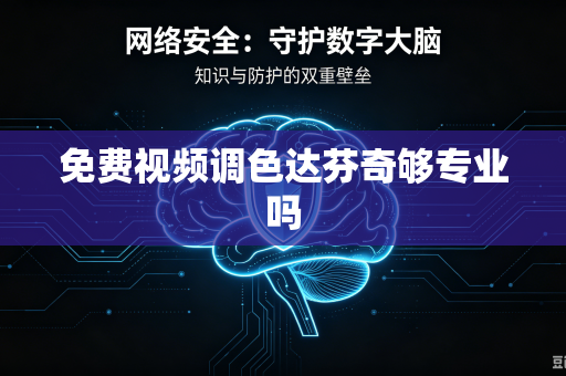 免费视频调色达芬奇够专业吗