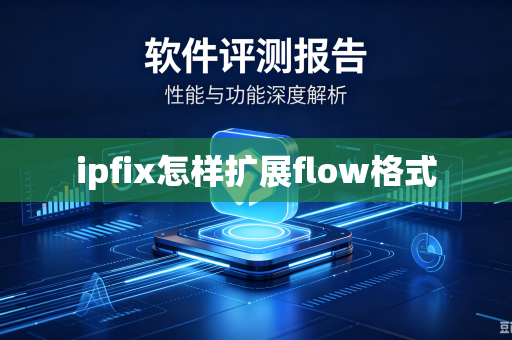 ipfix怎样扩展flow格式