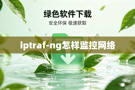 iptraf-ng怎样监控网络