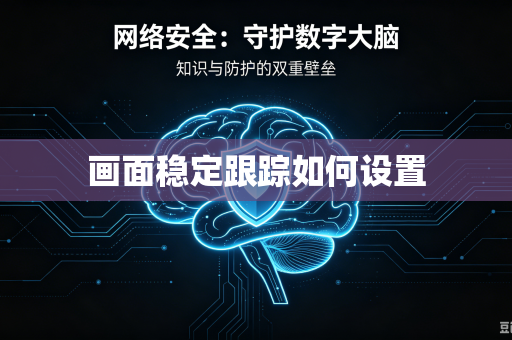 画面稳定跟踪如何设置