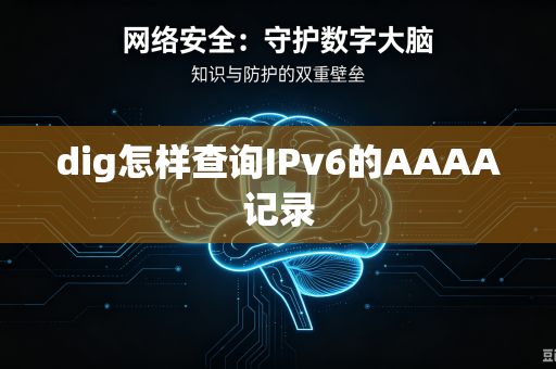 dig怎样查询IPv6的AAAA记录-第1张图片-电脑手机工具软件下载 - 免费实用工具合集 | 联启科技 dig怎样查询IPv6的AAAA记录-第1张图片-电脑手机工具软件下载 - 免费实用工具合集 | 联启科技