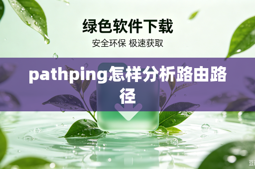 pathping怎样分析路由路径
