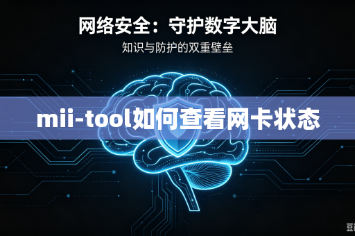 mii-tool如何查看网卡状态