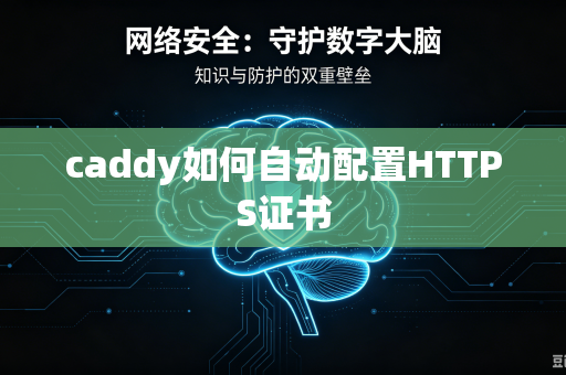 caddy如何自动配置HTTPS证书
