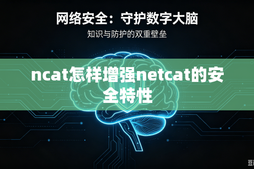 ncat怎样增强netcat的安全特性-第1张图片-电脑手机工具软件下载 - 免费实用工具合集 | 联启科技 ncat怎样增强netcat的安全特性-第1张图片-电脑手机工具软件下载 - 免费实用工具合集 | 联启科技