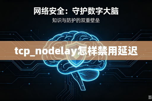 tcp_nodelay怎样禁用延迟-第1张图片-电脑手机工具软件下载 - 免费实用工具合集 | 联启科技 tcp_nodelay怎样禁用延迟-第1张图片-电脑手机工具软件下载 - 免费实用工具合集 | 联启科技