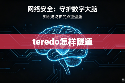 teredo怎样隧道-第1张图片-电脑手机工具软件下载 - 免费实用工具合集 | 联启科技