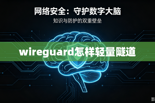 wireguard怎样轻量隧道-第1张图片-电脑手机工具软件下载 - 免费实用工具合集 | 联启科技