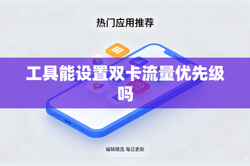 工具能设置双卡流量优先级吗