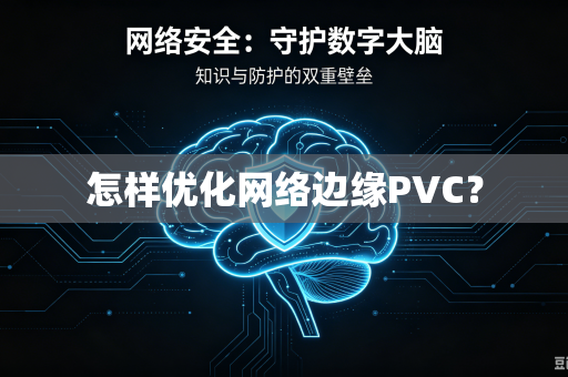 怎样优化网络边缘PVC?-第1张图片-电脑手机工具软件下载 - 免费实用工具合集 | 联启科技 怎样优化网络边缘PVC?-第1张图片-电脑手机工具软件下载 - 免费实用工具合集 | 联启科技