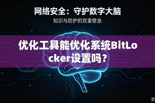 优化工具能优化系统BitLocker设置吗？-第1张图片-电脑手机工具软件下载 - 免费实用工具合集 | 联启科技