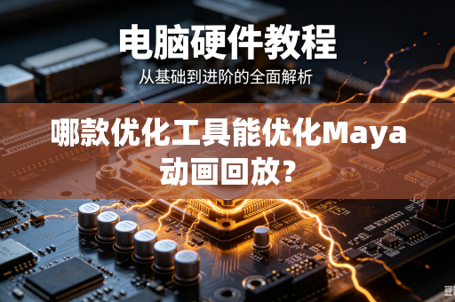 哪款优化工具能优化Maya动画回放？