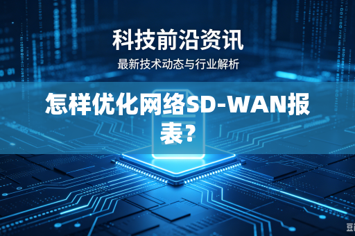 怎样优化网络SD-WAN报表？