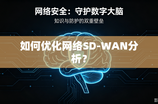如何优化网络SD-WAN分析？