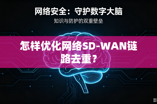怎样优化网络SD-WAN链路去重?-第1张图片-电脑手机工具软件下载 - 免费实用工具合集 | 联启科技 怎样优化网络SD-WAN链路去重?-第1张图片-电脑手机工具软件下载 - 免费实用工具合集 | 联启科技