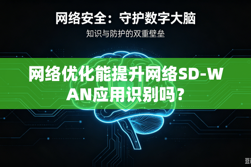 网络优化能提升网络SD-WAN应用识别吗？