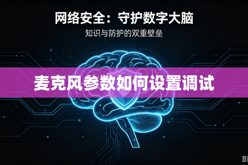 麦克风参数如何设置调试