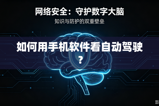 如何用手机软件看自动驾驶？-第1张图片-电脑手机工具软件下载 - 免费实用工具合集 | 联启科技