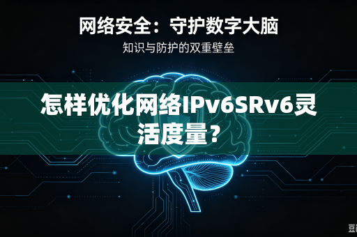 怎样优化网络IPv6SRv6灵活度量？