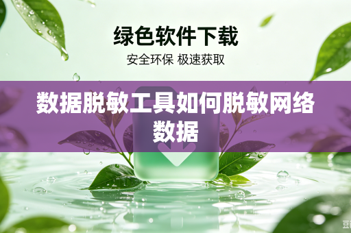 数据脱敏工具如何脱敏网络数据
