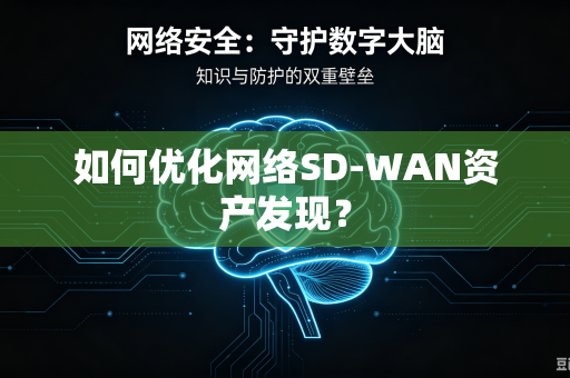 如何优化网络SD-WAN资产发现？