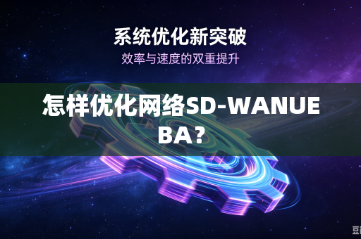 怎样优化网络SD-WANUEBA？