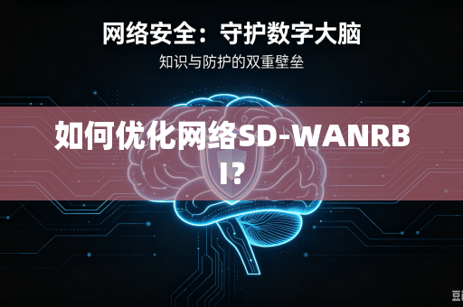 如何优化网络SD-WANRBI？