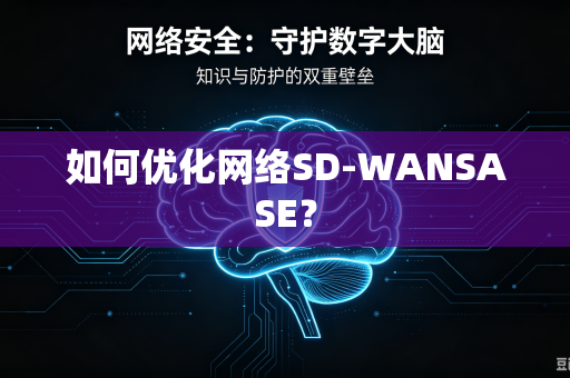 如何优化网络SD-WANSASE？
