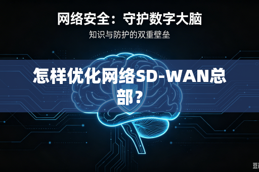 怎样优化网络SD-WAN总部？