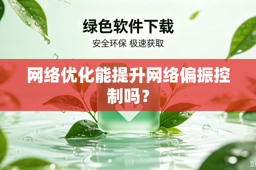 网络优化能提升网络偏振控制吗？