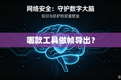 哪款工具做帧导出？
