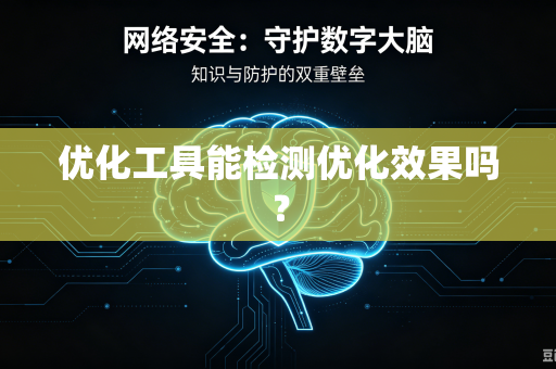 优化工具能检测优化效果吗？