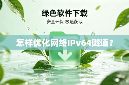怎样优化网络IPv64隧道？