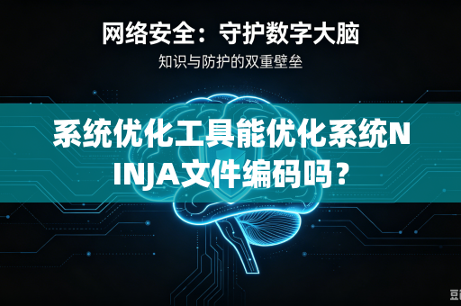 系统优化工具能优化系统NINJA文件编码吗？