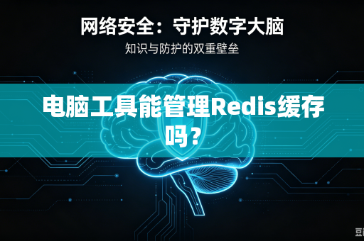 电脑工具能管理Redis缓存吗？-第1张图片-电脑手机工具软件下载 - 免费实用工具合集 | 联启科技