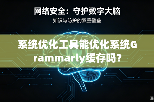 系统优化工具能优化系统Grammarly缓存吗？