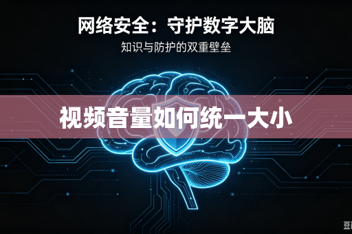 视频音量如何统一大小