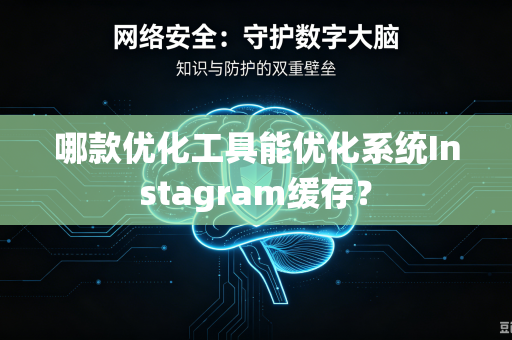哪款优化工具能优化系统Instagram缓存？