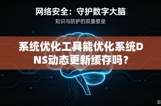 系统优化工具能优化系统DNS动态更新缓存吗？