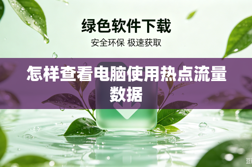 怎样查看电脑使用热点流量数据