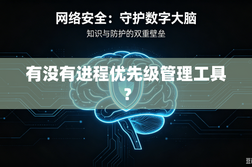 有没有进程优先级管理工具？