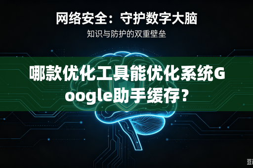 哪款优化工具能优化系统Google助手缓存？