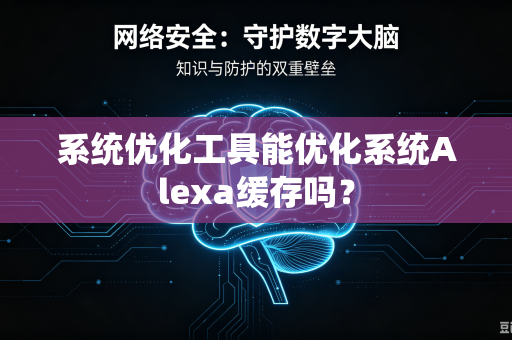 系统优化工具能优化系统Alexa缓存吗？