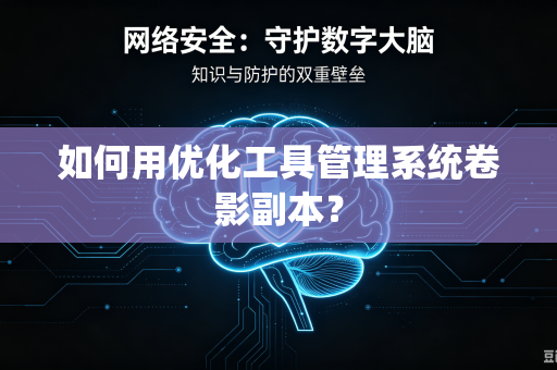 如何用优化工具管理系统卷影副本？